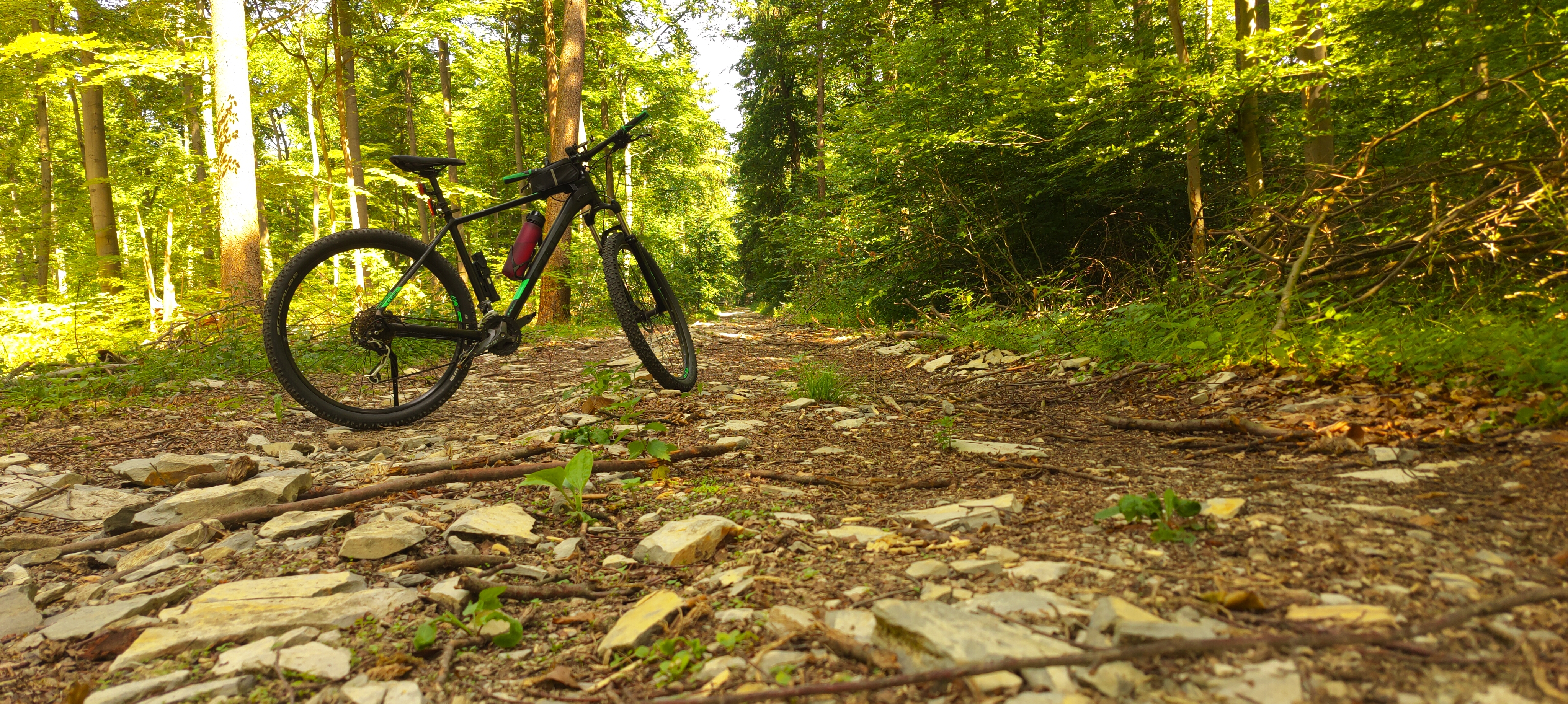 denn das ist mein Bild!